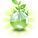 Plant Growth With Care